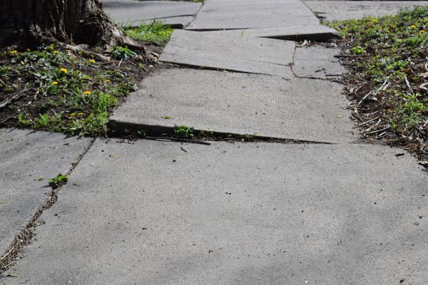 Trip Hazard Removal in Antioch